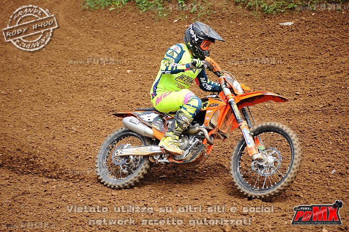 DSC_7576 (Copy).jpg